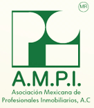AMPI Logo Realty